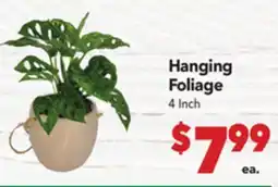 Vallarta Supermarkets Hanging Foliage offer