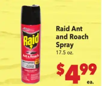 Vallarta Supermarkets Raid Ant and Roach Spray offer