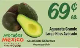 El Super Large Hass Avocado offer