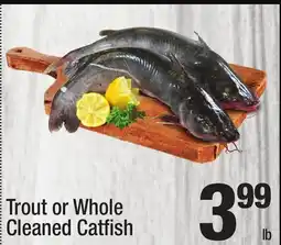 Super King Markets Trout or Whole Cleaned Catfish offer
