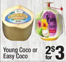 Super King Markets Young Coco or Easy Coco offer