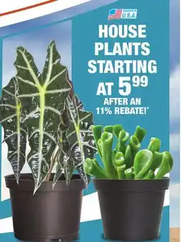 Menards HOUSE PLANTS offer