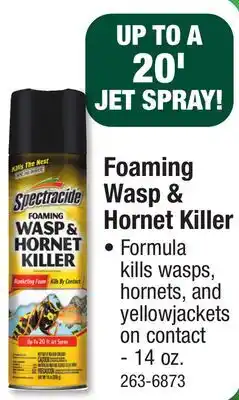 Menards Foaming Wasp & Hornet Killer offer