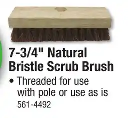 Menards 7-3/4 Natural Bristle Scrub Brush offer