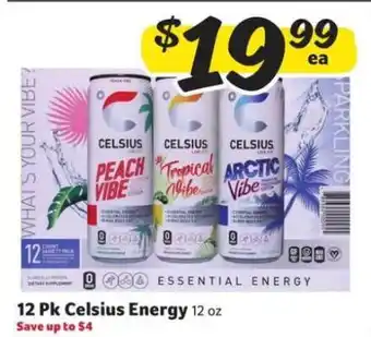 Winn Dixie 12 Pk Celsius Energy offer