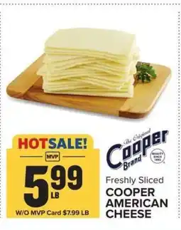 Food Lion COOPER AMERICAN CHEESE offer
