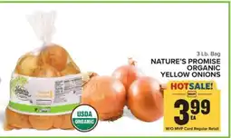 Food Lion Nature's Promise Organic Yellow Onions offer
