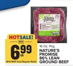 Food Lion Nature's Promise 86% Lean Ground Beef offer