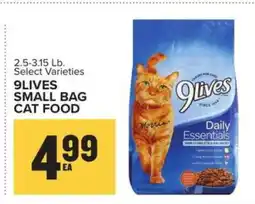 Food Lion 9Lives Small Bag Cat Food offer