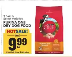 Food Lion Purina ONE Dry Dog Food offer