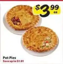 Winn Dixie Pot Pies offer