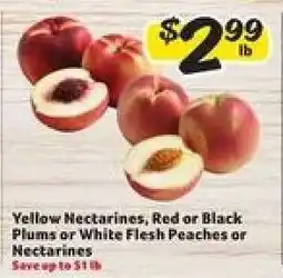 Winn Dixie Yellow Nectarines, Red or Black Plums or White Flesh Peaches or Nectarines offer