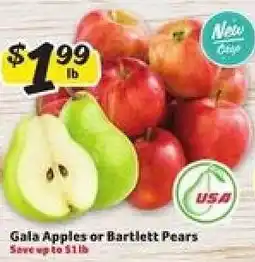 Winn Dixie Gala Apples or Bartlett Pears offer