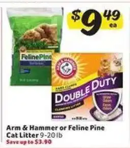 Winn Dixie Arm & Hammer or Feline Pine Cat Litter offer