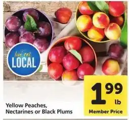 Safeway Yellow Peaches, Nectarines or Black Plums offer