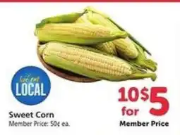 Safeway Sweet Corn offer