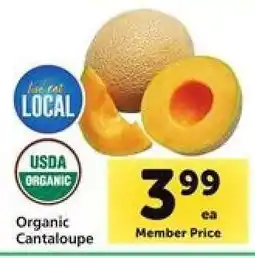 Safeway Organic Cantaloupe offer