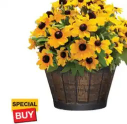 The Home Depot 6 Whiskey Barrel offer