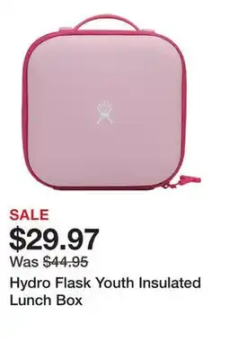 Dick's Sporting Goods Hydro Flask Youth Insulated Lunch Box offer