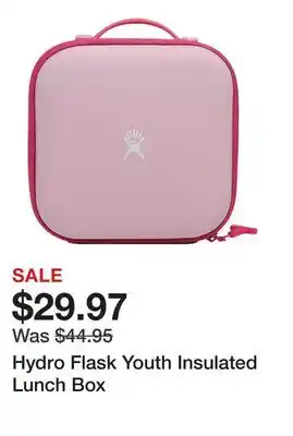 Dick's Sporting Goods Hydro Flask Youth Insulated Lunch Box offer