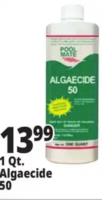 Ocean State Job Lot Pool Mate Algaecide 50 1 Qt offer
