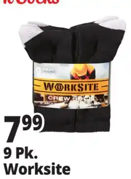 Ocean State Job Lot 9 Pk. Worksite offer