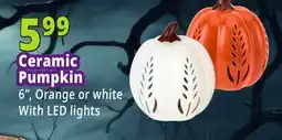 Ocean State Job Lot Ceramic Pumpkin 6, Orange or white With LED lights offer