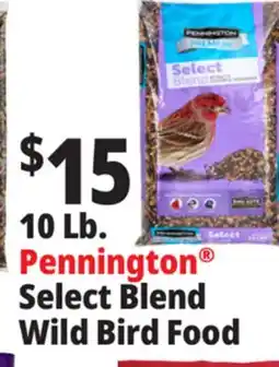 Ocean State Job Lot Pennington Premium Select Blend Bird Seed 10 lb offer