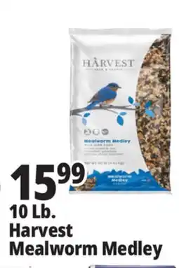 Ocean State Job Lot Harvest Mealworm Medley offer