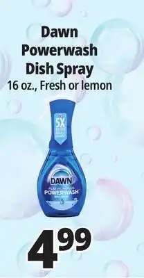 Ocean State Job Lot Dawn Platinum Plus Power wash Dish Spray 16 oz offer