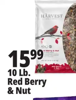 Ocean State Job Lot 10 Lb. Red Berry & Nut offer