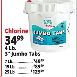 Ocean State Job Lot Pool Mate Jumbo Chlorine Tabs offer