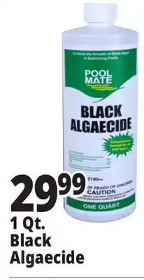 Ocean State Job Lot Pool Mate Black Algaecide 1 Qt offer