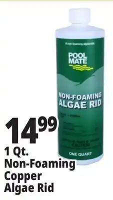 Ocean State Job Lot Pool Mate Non-Foaming Algae Rid 1 Qt offer