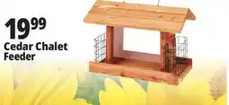 Ocean State Job Lot Cedar Chalet Feeder offer