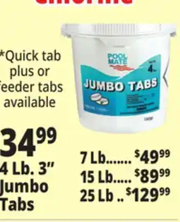 Ocean State Job Lot Pool Mate Jumbo Tabs offer