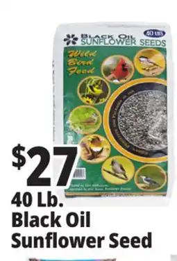 Ocean State Job Lot Black Oil Sunflower Seeds 40 lbs offer