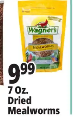 Ocean State Job Lot Wagner's Bird Meal Worms 7oz offer