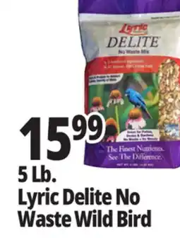 Ocean State Job Lot Lyric Delite No Waste Wild Bird offer