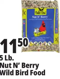 Ocean State Job Lot Better Bird Premium Nut N' Berry Bird Food 5 lbs offer