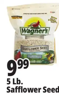 Ocean State Job Lot Wagner's Safflower Seed Deluxe Wild Bird Food offer