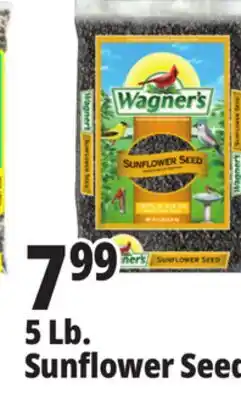 Ocean State Job Lot Wagner's Black Oil Sunflower Seed Wild Bird Food 5 lbs offer