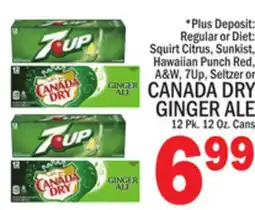 C Town CANADA DRY GINGER ALE offer