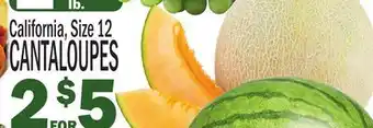 C Town CANTALOUPES offer