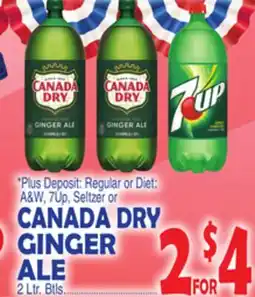 Bravo Supermarkets CANADA DRY GINGER ALE offer