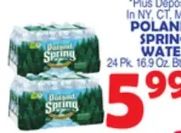 Bravo Supermarkets POLAND SPRING WATER offer