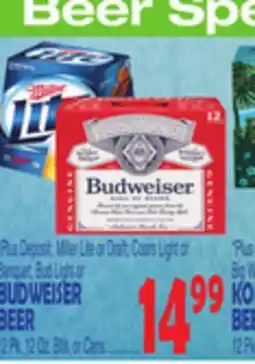 Bravo Supermarkets BUDWEISER BEER offer