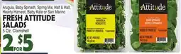 Bravo Supermarkets FRESH ATTITUDE SALADS offer