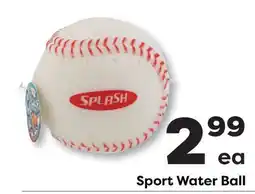 Weis Markets Sport Water Ball offer