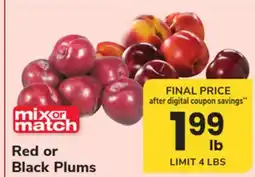 ACME Red or Black Plums offer